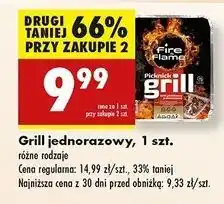 Biedronka Grill piknikowy jednorazowy Fire & Flame oferta