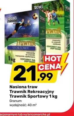 Bricomarche Nasiona trawy Granum oferta
