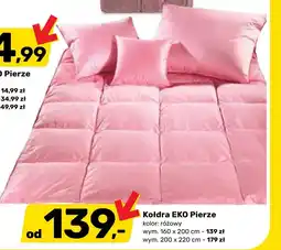Bricomarche Kołdra Eko oferta