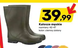 Bricomarche Kalosze oferta