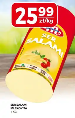 Top Market Ser Mlekovita oferta