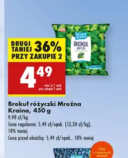 Biedronka Brokuł Mroźna Kraina oferta