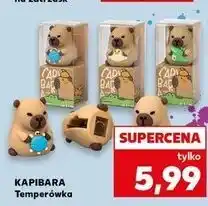 Kaufland Temperówka kapibara oferta