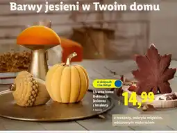 Lidl Dekoracja jesienna z terakoty Livarno Home oferta