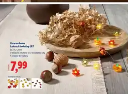 Lidl Łańcuch świetlny led 1.25 m Livarno Home oferta