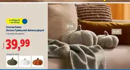 Lidl Poduszki dekoracyjne 28 cm + 20 Livarno Home oferta
