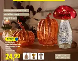 Lidl Grzyb szklany led Livarno Home oferta
