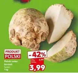 Kaufland Seler korzeń polska oferta