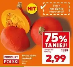 Kaufland Dynia hokkaido oferta