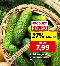 Lidl Ogórek gruntowy oferta