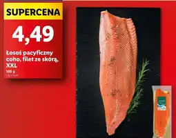 Lidl Łosoś pacyficzny coho filet xxl Connoisseur oferta