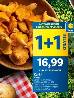 Lidl Kurki oferta