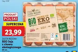 Lidl Jaja kl. a Złota Nioska oferta