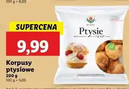 Lidl Korpusy ptysiowe Brześć oferta