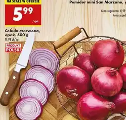 Biedronka Cebula czerwona opak . 500 g oferta