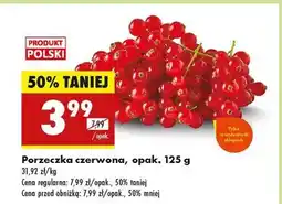 Biedronka Porzeczka czerwona, opak. 125 g oferta