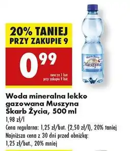 Biedronka Woda mineralna lekko gazowana Muszyna Skarb Życia, 500 ml oferta