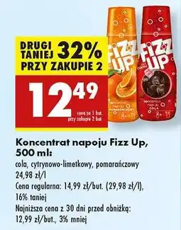 Biedronka Koncentrat napoju Fizz Up, 500 ml oferta