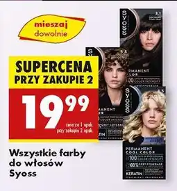 Biedronka Wszystkie farby do włosów Syoss oferta