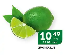 Eurocash Cash & Carry Limonka oferta