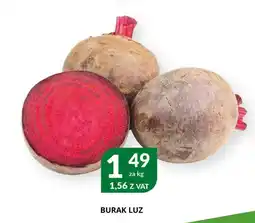 Eurocash Cash & Carry Burak oferta