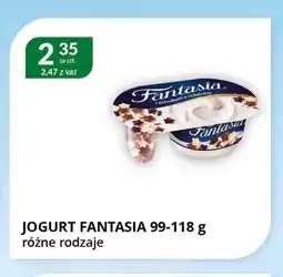 Eurocash Cash & Carry Jogurt Fantasia oferta