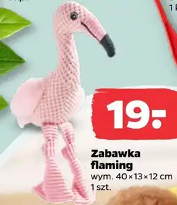 Netto Zabawka dla zwierząt oferta