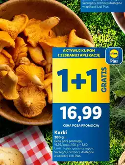 Lidl Kurki Plus-Plus oferta