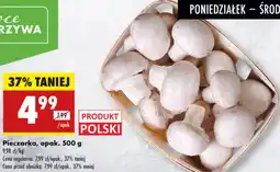 Biedronka Pieczarka oferta