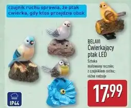 ALDI Ptak ćwierkający led Belavi oferta