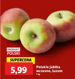 Lidl Jabłka Polskie jabłka wczesne Lidl oferta