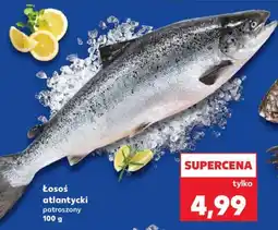 Kaufland Łosoś atlantycki oferta