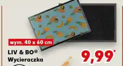 Kaufland Liv & Bo Wycieraczka oferta