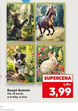 Kaufland Zeszyt Animals oferta