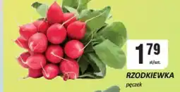 Chorten Rzodkiewka oferta