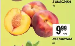 Chorten Nektarynka oferta