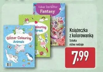 ALDI Książeczka z kolorowankami oferta