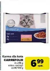 Carrefour Karma dla kota sterilkat Carrefour Expert oferta