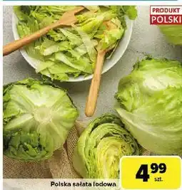 Carrefour Sałata lodowa polska oferta