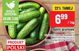 Polomarket Ogórki gruntowe POLOmarket oferta