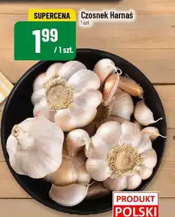 Polomarket Czosnek Harnaś oferta