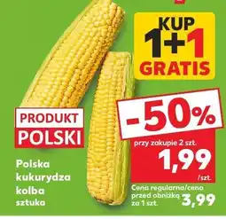 Kaufland Kukurydza kolba polska Kaufland oferta