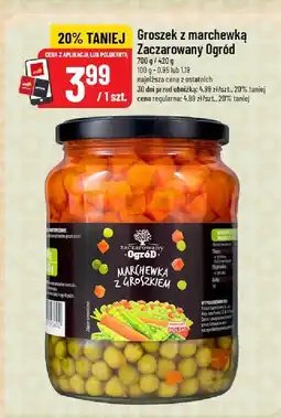 Polomarket Groszek z marchewką Zaczarowany Ogród oferta