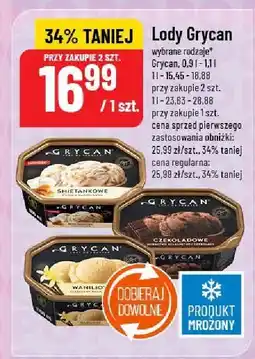 Polomarket Lody Grycan różne rodzaje oferta