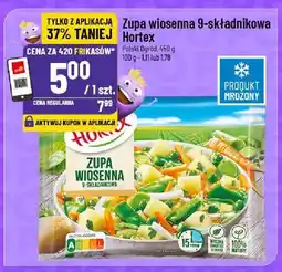 Polomarket Zupa wiosenna 9-składnikowa Hortex oferta