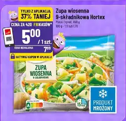 Polomarket Zupa wiosenna 9-składnikowa Hortex oferta