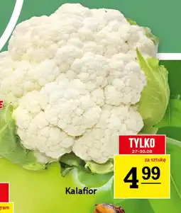 Gram Market Kalafior oferta
