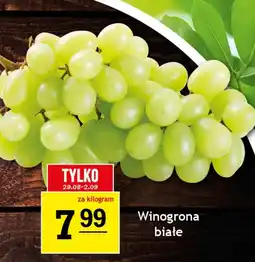 Gram Market Winogrona Białe oferta