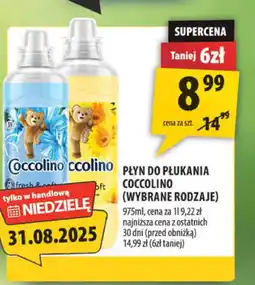 Arhelan Płyn do płukania Coccolino oferta