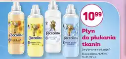 Bliski Płyn do płukania Coccolino oferta